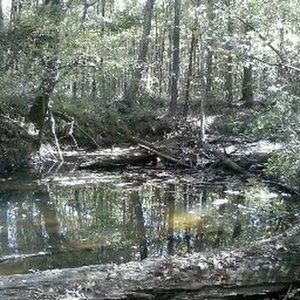 Meet your Posher, Ben